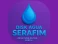 Logo de Disk Água Serafins